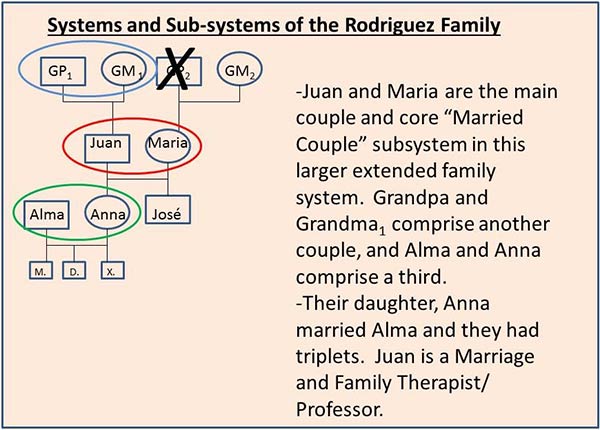 Family systems theory essays